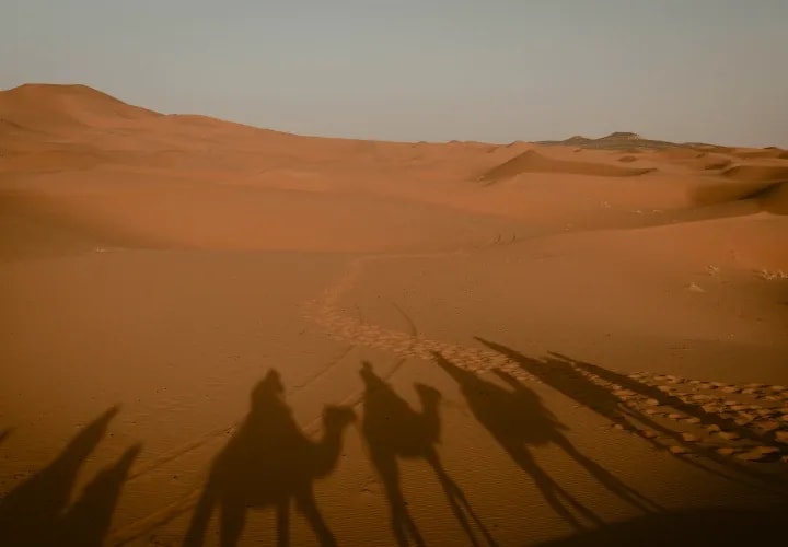 Sunset Camel Ride into Erg Chegaga
