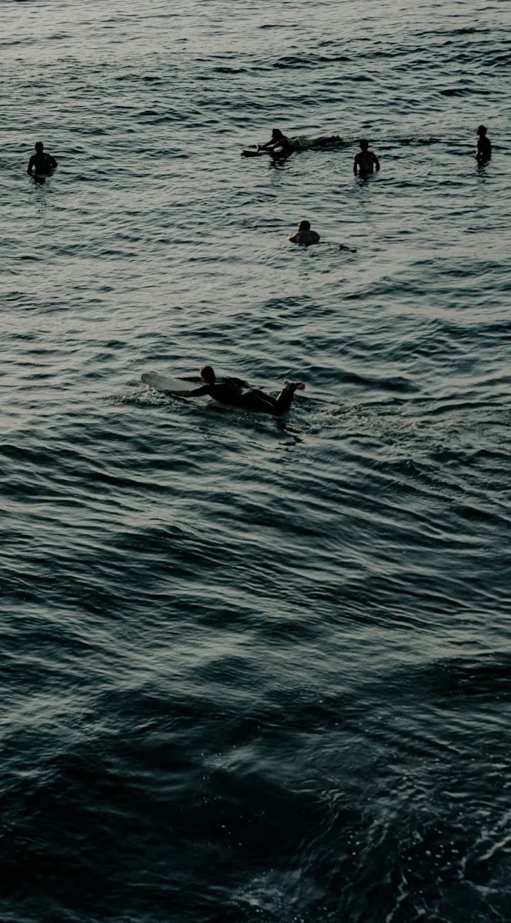 Surf Day in Essaouira 