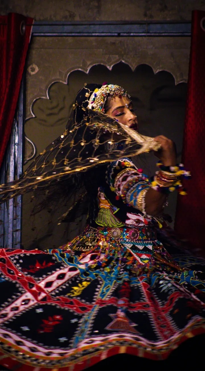 Udaipur. City Palace, Temples, Gardens and the Cultural Performance.