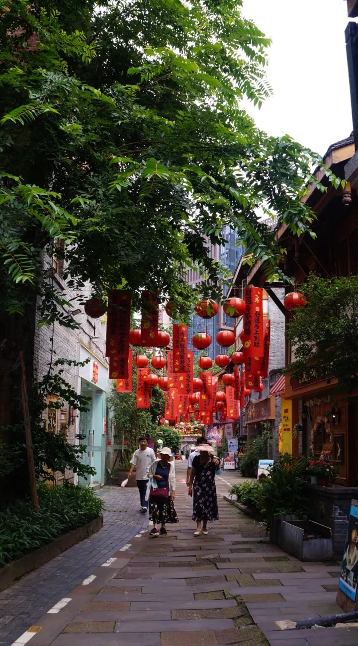 Back to Chongqing