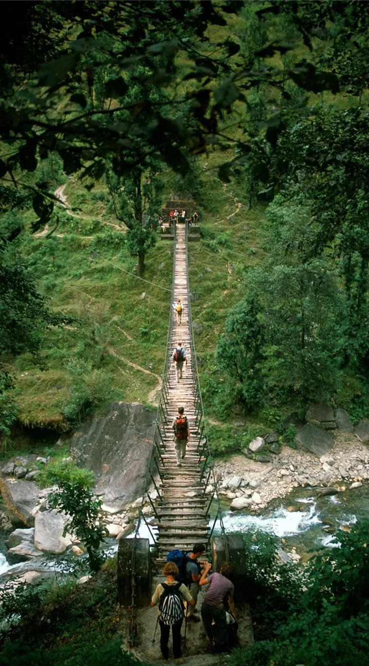 Final Trek to Nayapul