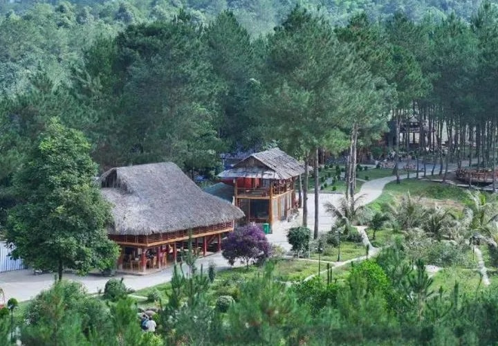 Guesthouse, Than Uyen (or similar) 