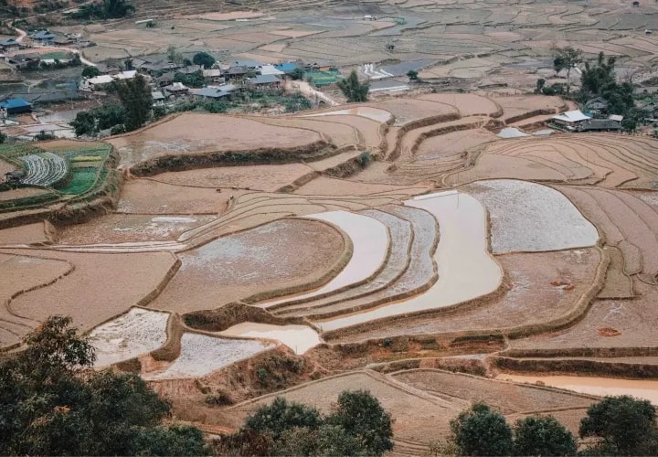 Hoang Su Phi Rice Terraces