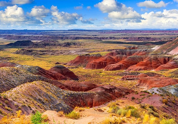 Petrified Forest & Painted Desert