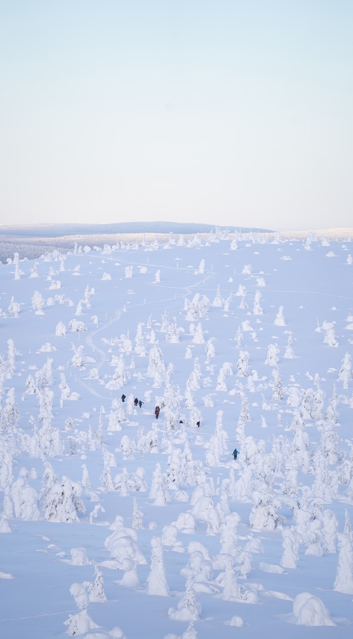 Into the Snow Cathedral