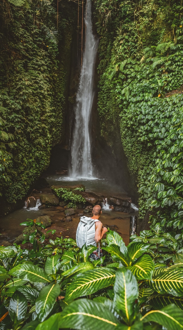 Jungle & Falls