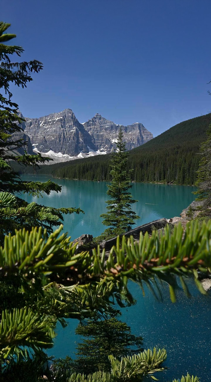 Valley Shifts & Moraine Magic