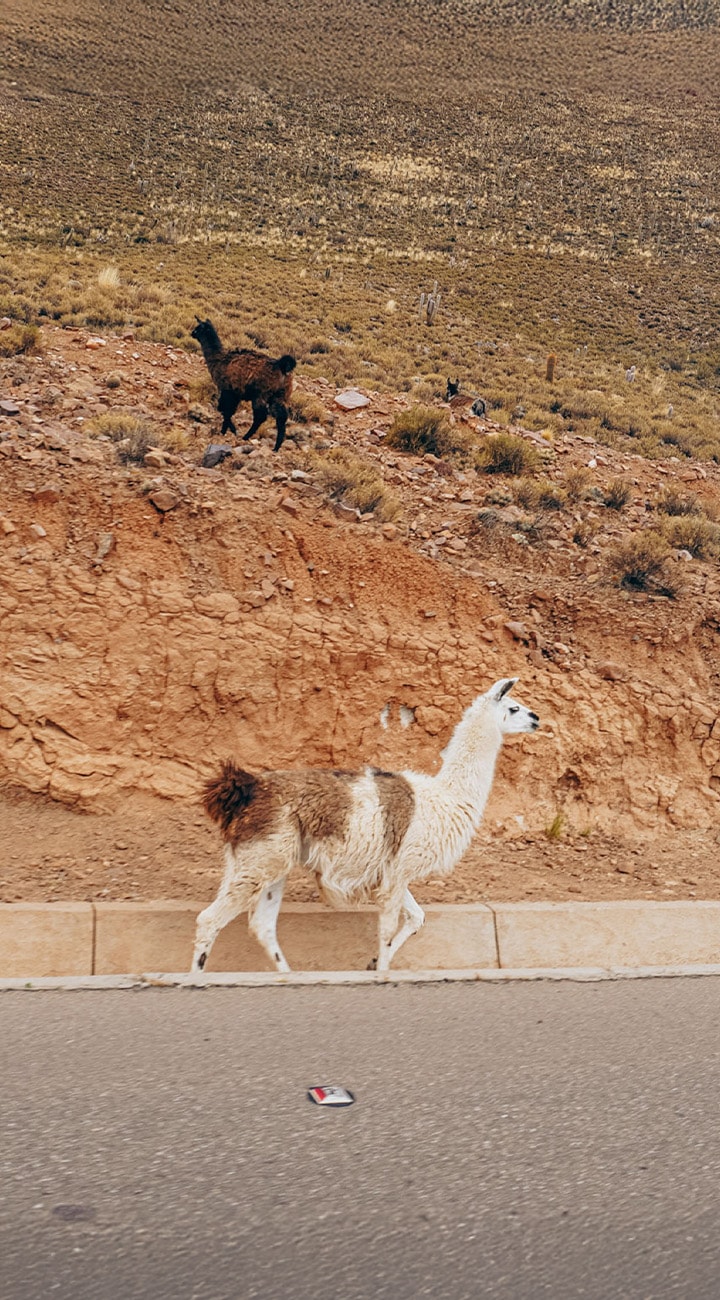 Samaipata to La Higuera