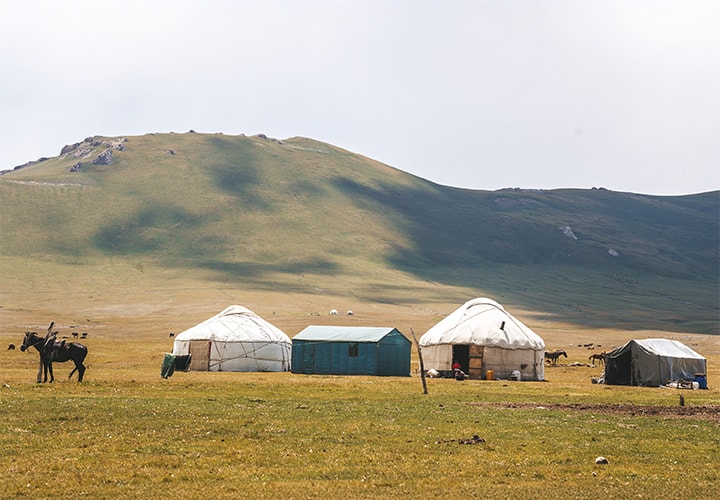 Nomadic Homestays & Song Kul Yurt Camp