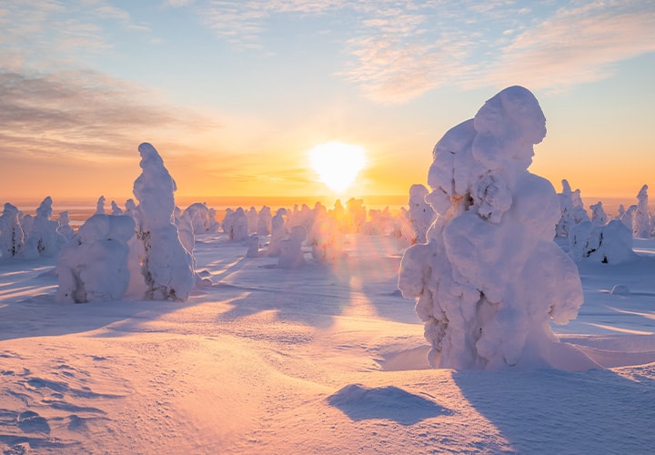 Riisitunturi Snow Cathedral
