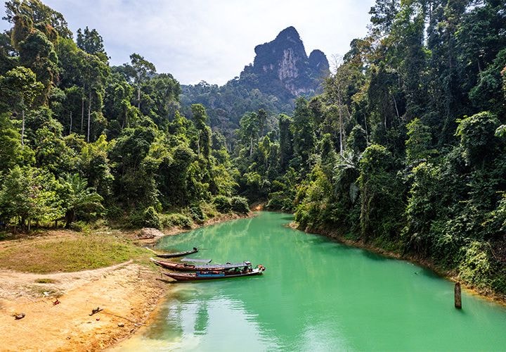 Soft Jungle Trek