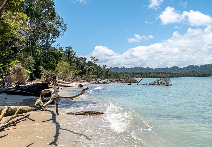 Corcovado Hike