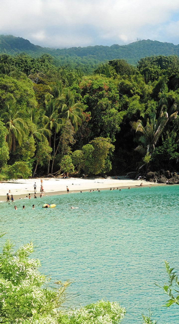 Down to the Pacific – Hello, Manuel Antonio