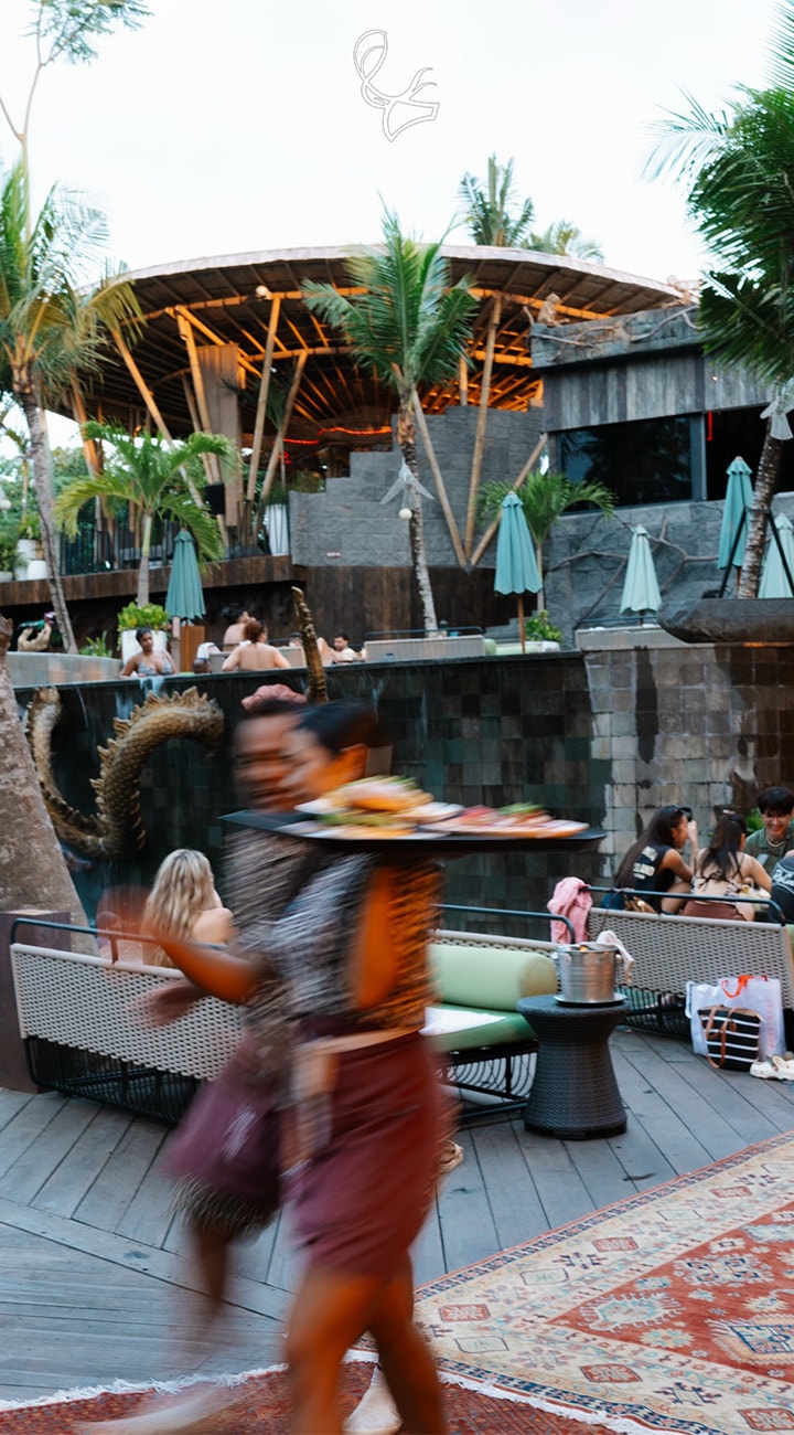 The Jungle Club Escape