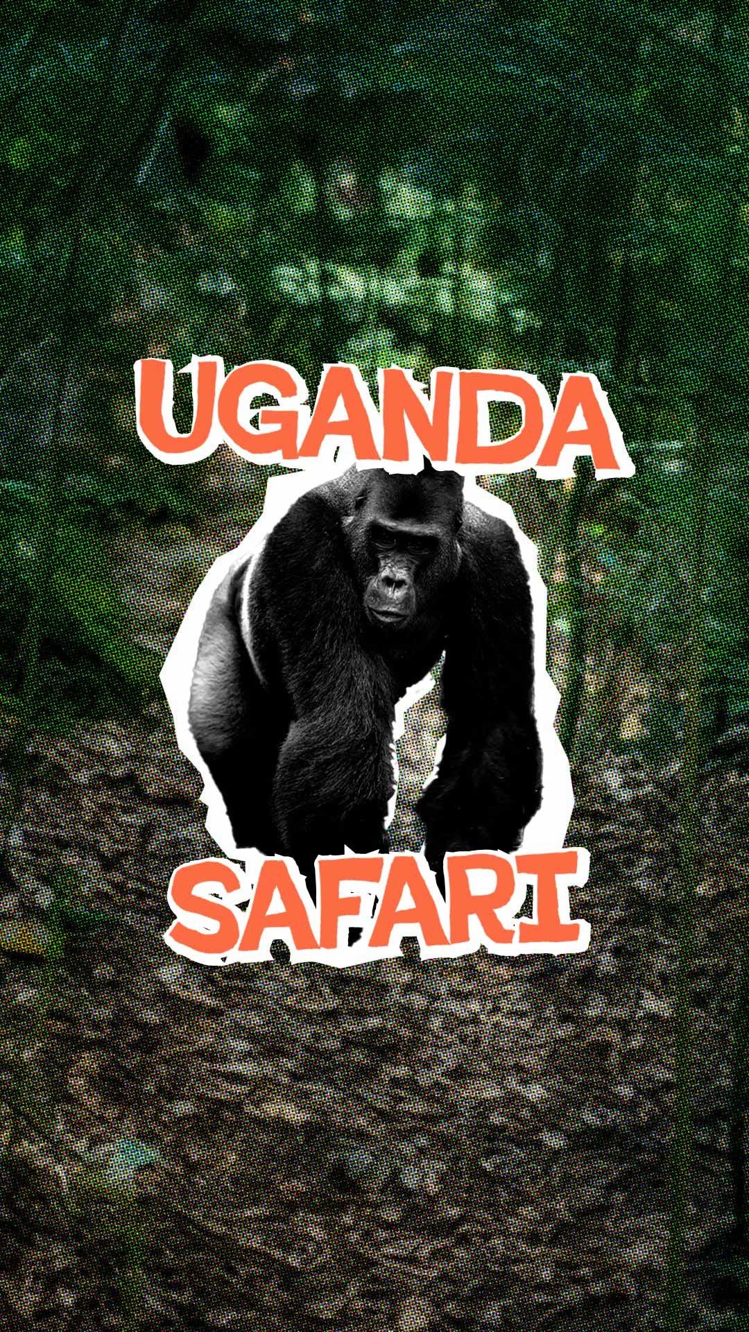 Uganda Adventure: In the land of Silverbacks & Sunsets