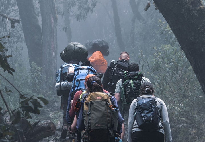 Rainforest Trek to Machame Camp