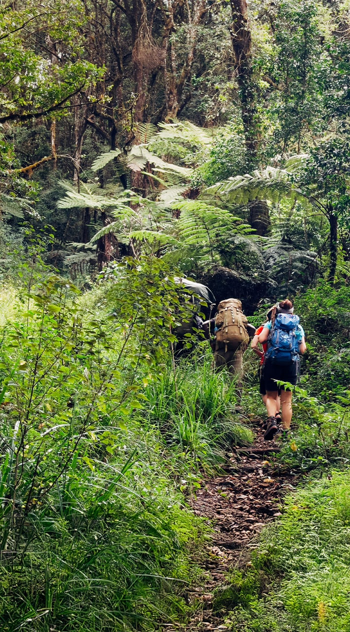 Mweka Camp to Moshi – Back to Earth