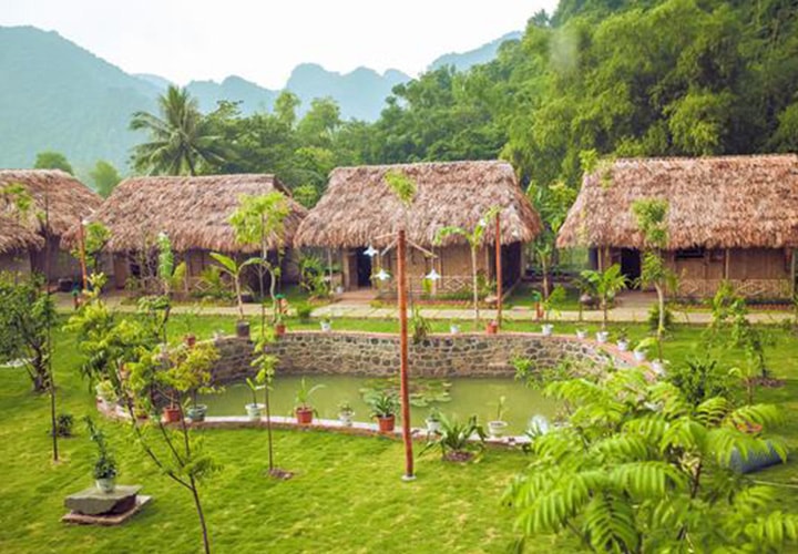 Tam Coc Rice Fields Resort (or similar)