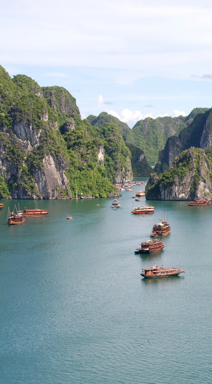 Cruise Into Halong Bay