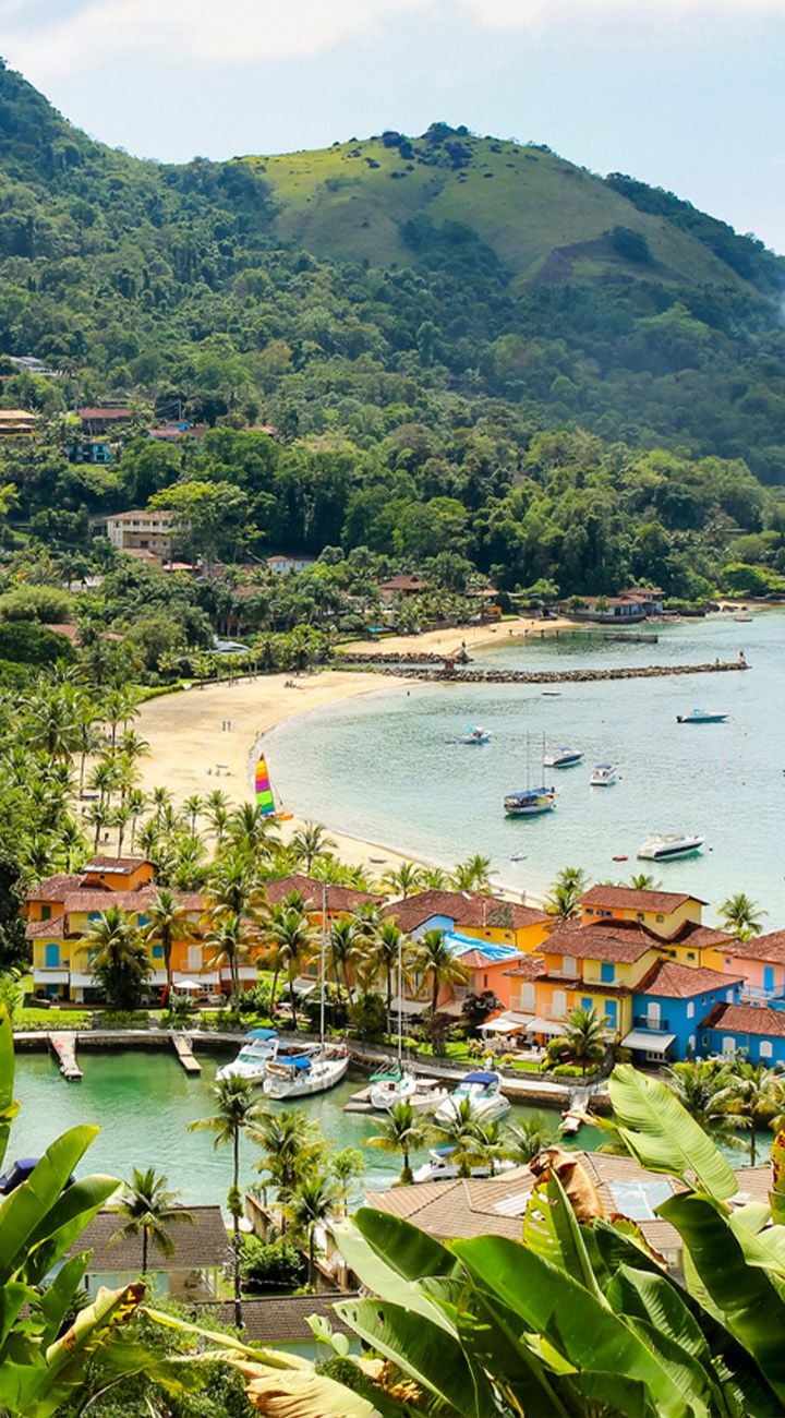 Into the Green – Ilha Grande