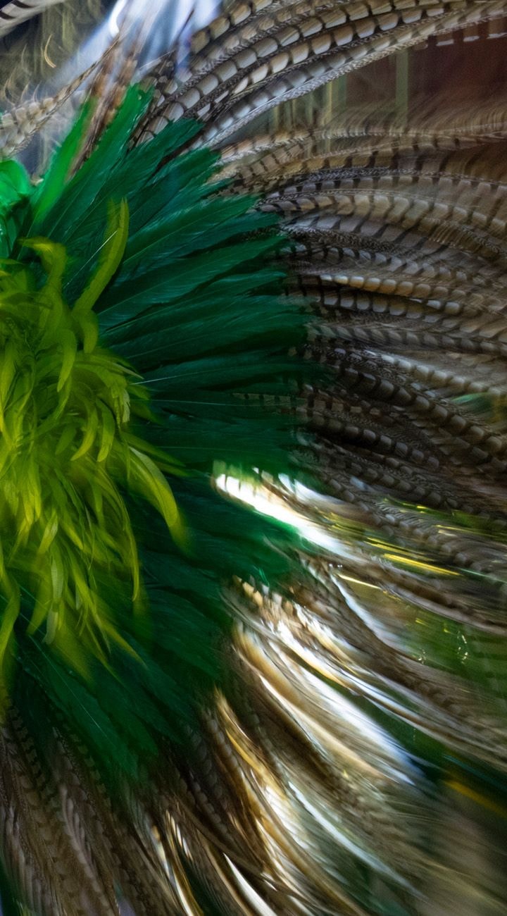 Mardi Gras Finale