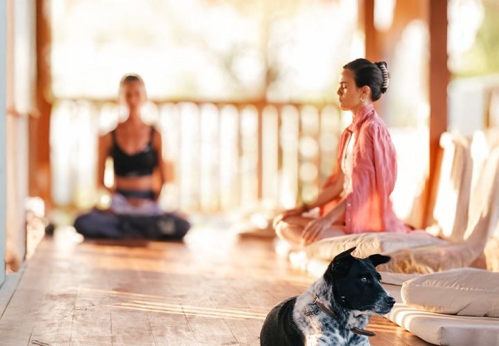 Yoga Sessions