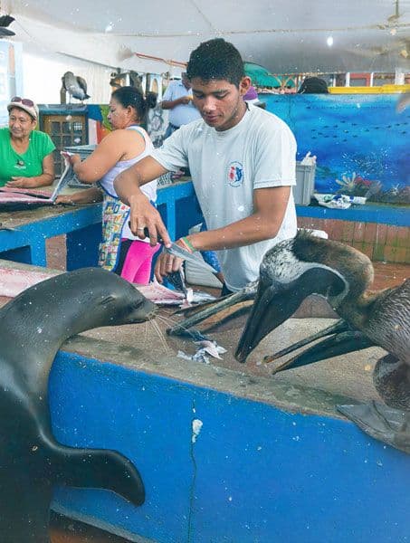 Culture touch point block